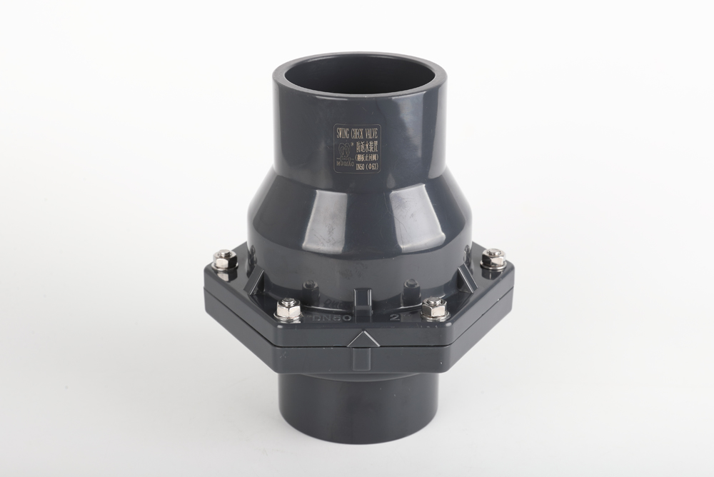 群英乡翻板式止回阀