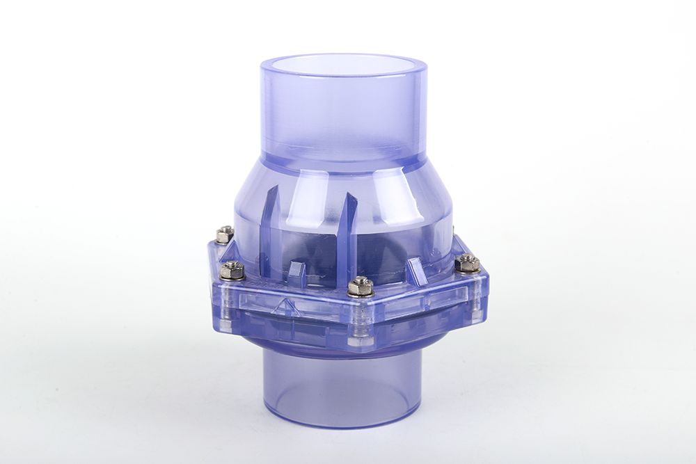 群英乡透明翻板式止回阀